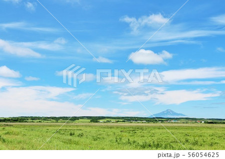 北海道　青空のサロベツ原野 56054625