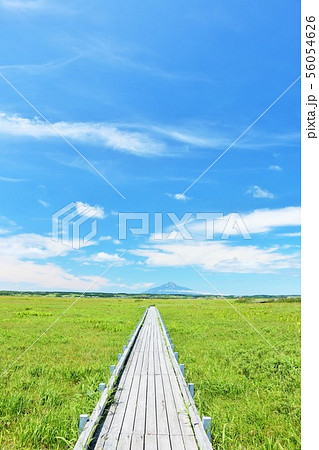 北海道　青空のサロベツ原野 56054626