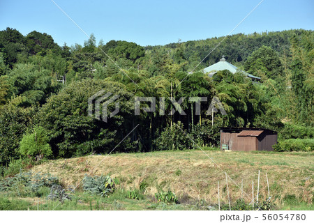 明智藪と本経寺 56054780