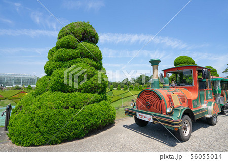 浜松フラワーパーク589 浜松フラワーパーク589 56055014