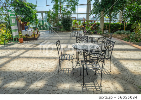 浜松フラワーパーク481 56055034