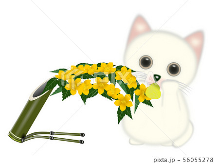 Fluffy Cat Cotton 白猫と山吹のイラスト素材