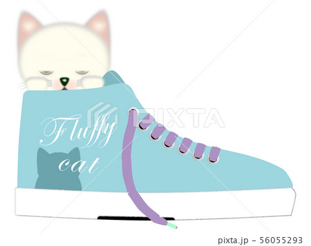 Fluffy cat Cotton 居眠り白猫とスニーカーのイラスト素材 [56055293