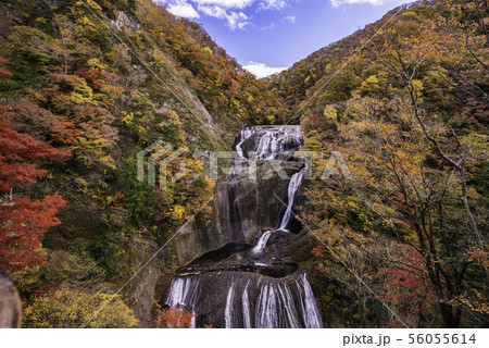 （茨城県）袋田の滝　紅葉 56055614