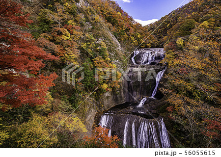 （茨城県）袋田の滝　紅葉 56055615