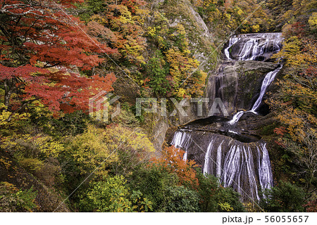 (茨城県)袋田の滝 紅葉 (茨城県)袋田の滝 紅葉 56055657
