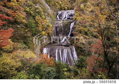 (茨城県)袋田の滝 紅葉 (茨城県)袋田の滝 紅葉 56055658