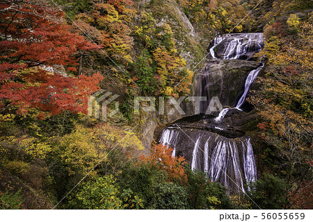 （茨城県）袋田の滝　紅葉 56055659