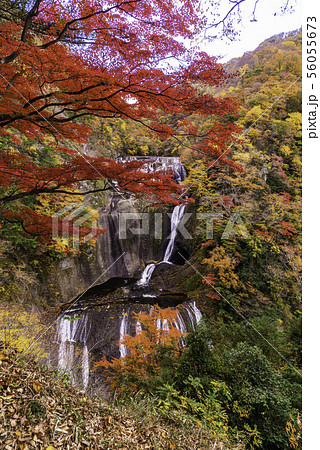 (茨城県)袋田の滝 紅葉 (茨城県)袋田の滝 紅葉 56055673