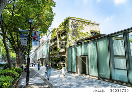 【東京都】表参道ヒルズ 56055739