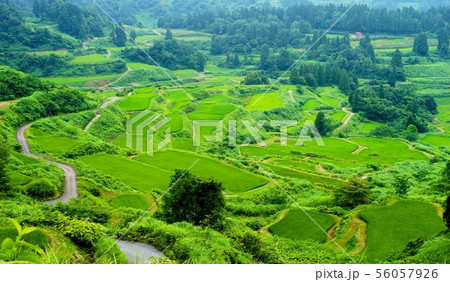 星峠の棚田の風景 星峠の棚田の風景 56057926
