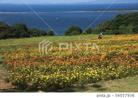 能古の島 能古の島 56057936
