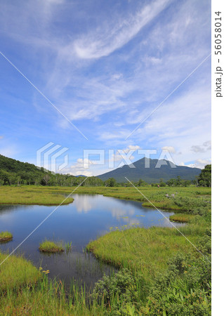 尾瀬ヶ原_燧ヶ岳と池塘_8月_縦2 56058014