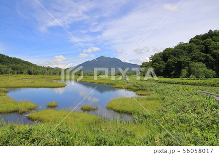 尾瀬ヶ原_燧ヶ岳と池塘_8月_1 56058017