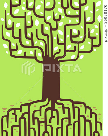 Tree Genealogy Roots Branches Illustration 56058170