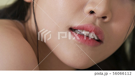 女性　ビューティー 56066112