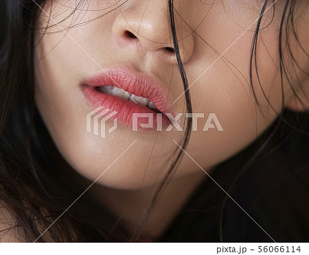 女性　ビューティー 56066114