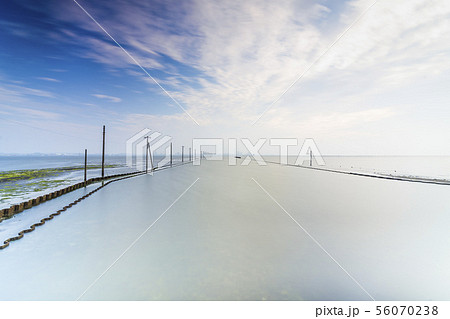 日本のウユニ 木更津江川海岸 56070238