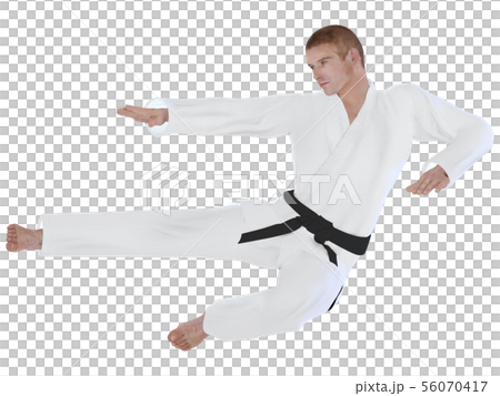 空手道的房子 56070417