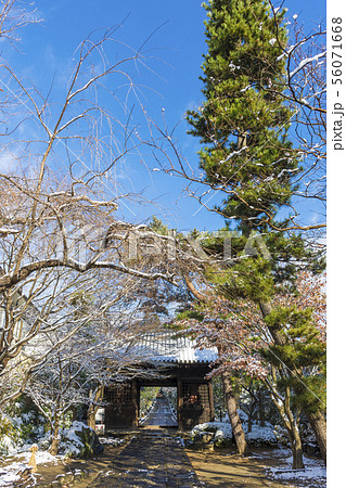 初雪の輪王寺 初雪の輪王寺 56071668