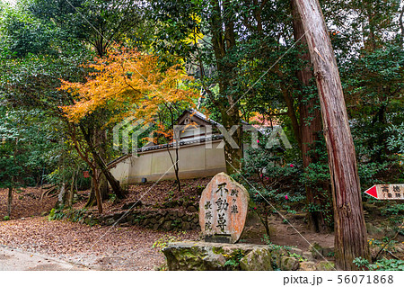 最勝院高徳庵 56071868