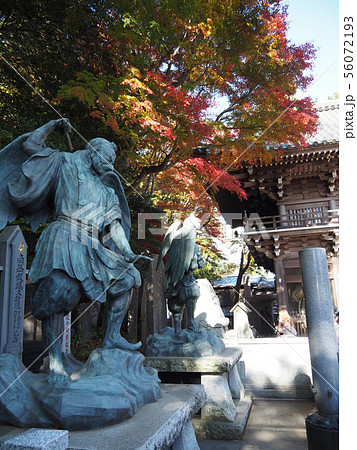 高尾山 紅葉の天狗増と四天王門 56072193