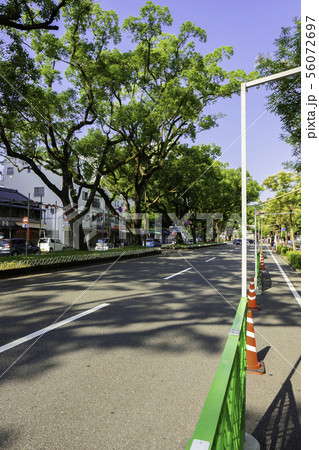 高知市追手筋 高知県高知市 高知市追手筋 高知県高知市 56072697
