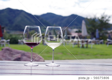 開放的な空間で飲むワイン 開放的な空間で飲むワイン 56075806