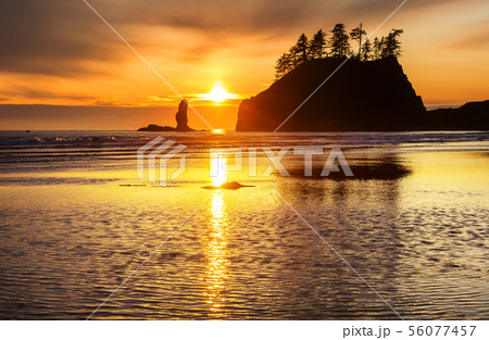 Olympic coast 56077457