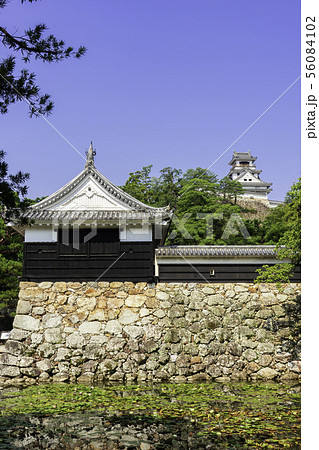 高知城　追手門　高知県高知市 56084102
