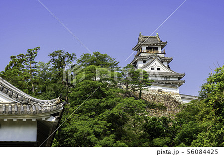 高知城　天守閣　高知県高知市 56084425