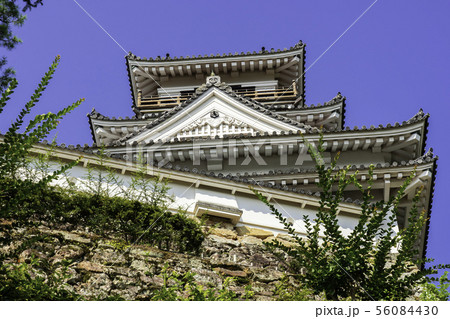高知城　天守閣　高知県高知市 56084430