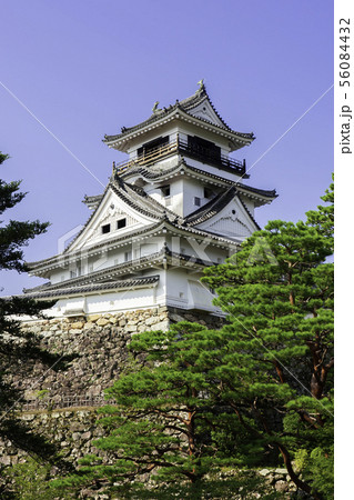 高知城　天守閣　高知県高知市 56084432