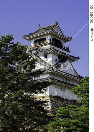 高知城　天守閣　高知県高知市 56084436