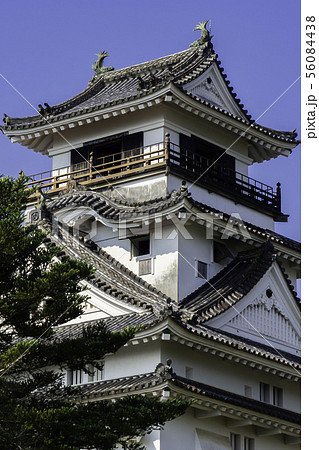 高知城　天守閣　高知県高知市 56084438