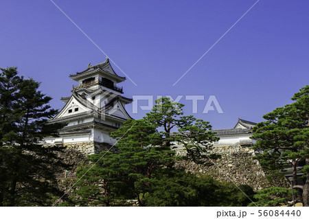 高知城　天守閣　高知県高知市 56084440