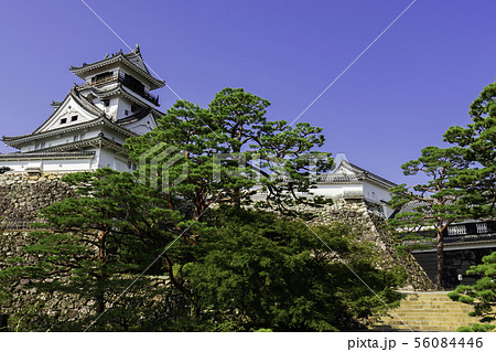 高知城　天守閣　高知県高知市 56084446