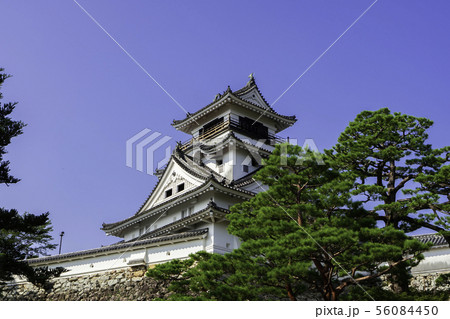 高知城 天守閣 高知県高知市 高知城 天守閣 高知県高知市 56084450
