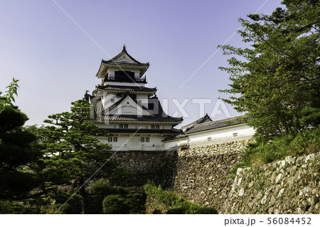 高知城　天守閣　高知県高知市 56084452