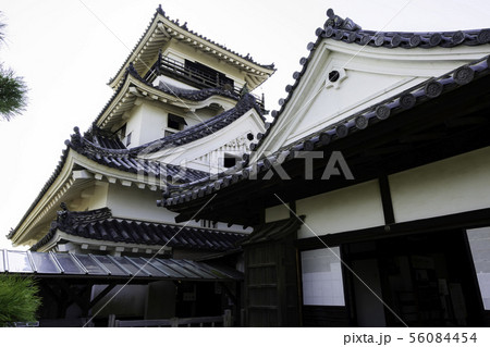 高知城　天守閣　高知県高知市 56084454