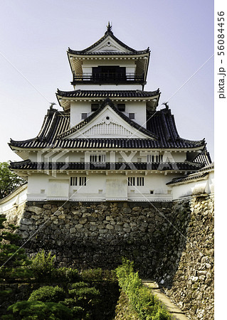 高知城　天守閣　高知県高知市 56084456
