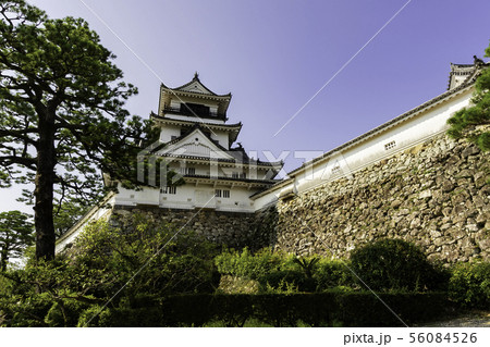 高知城　天守閣　高知県高知市 56084526
