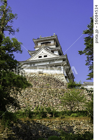 高知城　天守閣　高知県高知市 56084534