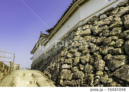 高知城　本丸の石垣　高知県高知市 56085098