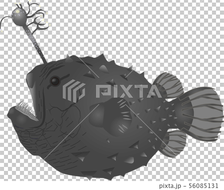 チョウチンアンコウのイラスト素材