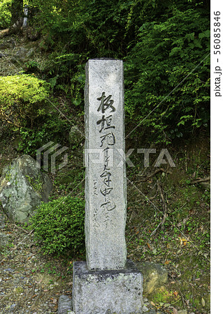高知城　板垣退助像　板垣死すとも自由は死せず　高知県高知市 56085846
