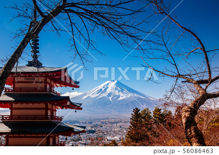 Red Chureito Pagoda and Snow covered Mount Fuji 56086463