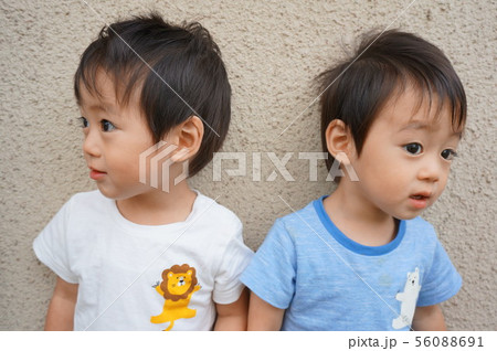 双子 2歳 双子 2歳 56088691