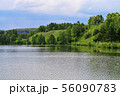 Landscape forest river travel sky 56090783