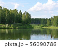 Landscape forest river travel sky horizontal photo 56090786